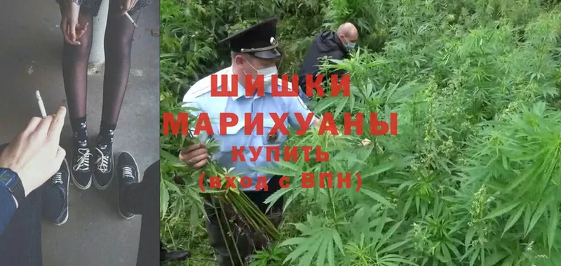 где купить наркоту  Астрахань  Бошки Шишки OG Kush 